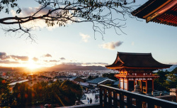 Онлайн-школа японского языка «Икигаи»