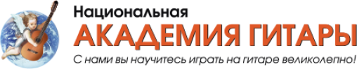 Национальная академия гитары лого
