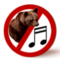 Музыкальная школа Ирины Гулыниной