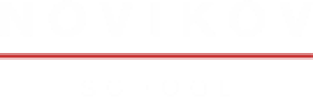 Novikov school лого