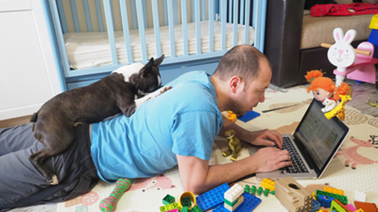 Удаленка или офис?